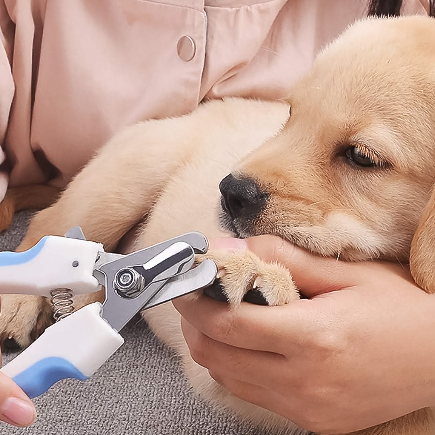 Dog & Cat Nail Cutter Dog & Cat Nail Cutter